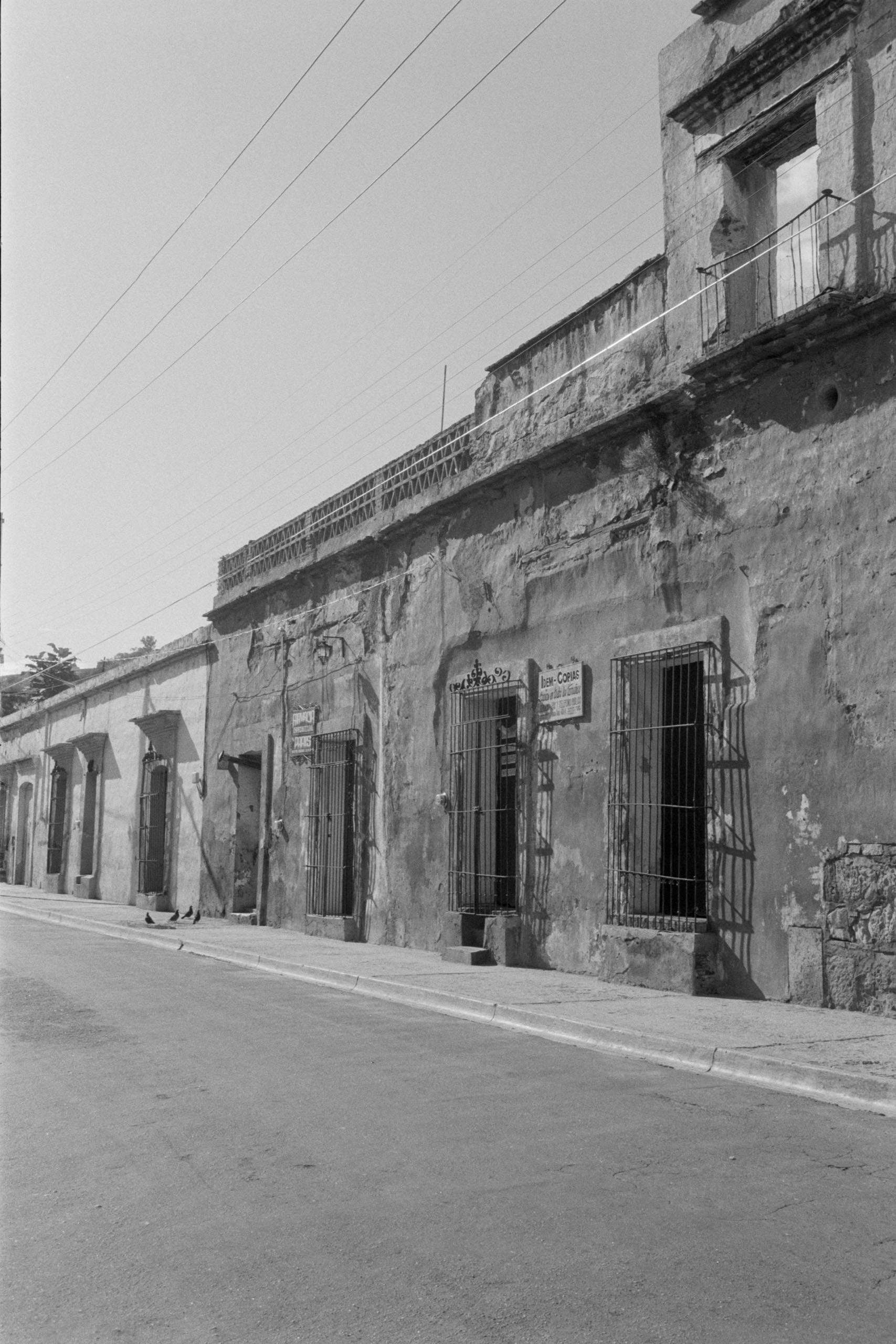 AHP FilmScan 240807 0632